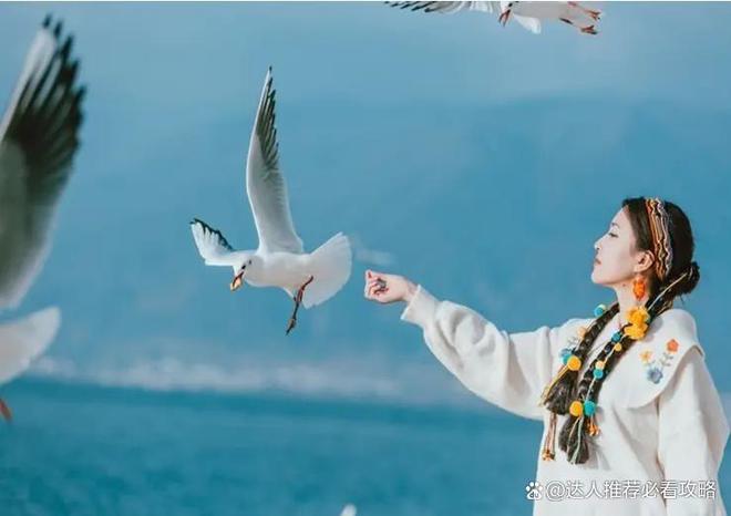 怎么安排合适跟团去丽江旅游要多少钱pg电子中国网站2个人去丽江旅游(图3)