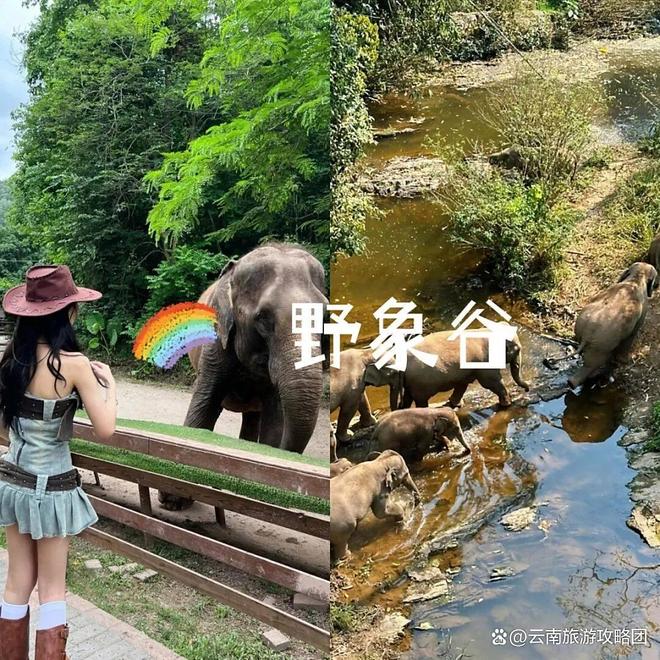 间西双版纳必去旅游景点打卡记得关注电子pg游戏去西双版纳旅游的最佳时(图2) 间西双版纳必去旅游景点打卡记得关注电子pg游戏去西双版纳旅游的最佳时(图2)