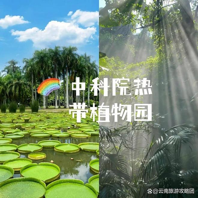 间西双版纳必去旅游景点打卡记得关注电子pg游戏去西双版纳旅游的最佳时(图7) 间西双版纳必去旅游景点打卡记得关注电子pg游戏去西双版纳旅游的最佳时(图7)