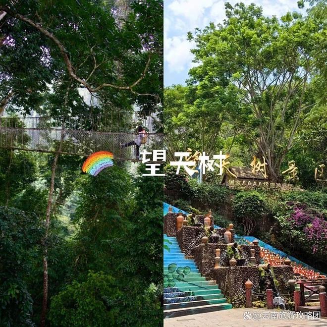 间西双版纳必去旅游景点打卡记得关注电子pg游戏去西双版纳旅游的最佳时(图11) 间西双版纳必去旅游景点打卡记得关注电子pg游戏去西双版纳旅游的最佳时(图11)