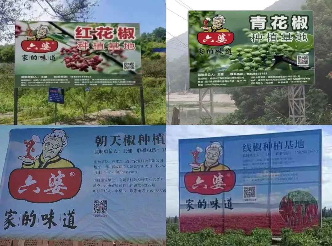 8亿袋一包辣椒面如何成为万能蘸料pg电子中国六婆:一年销量超过(图6) 8亿袋一包辣椒面如何成为万能蘸料pg电子中国六婆:一年销量超过(图6)